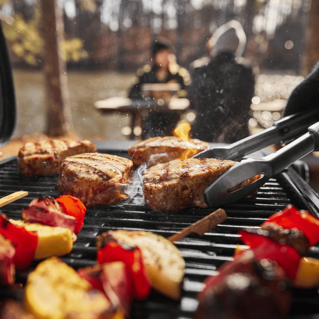 Weber Traveler Compact Portable Gas Barbecue - Barbeques and More