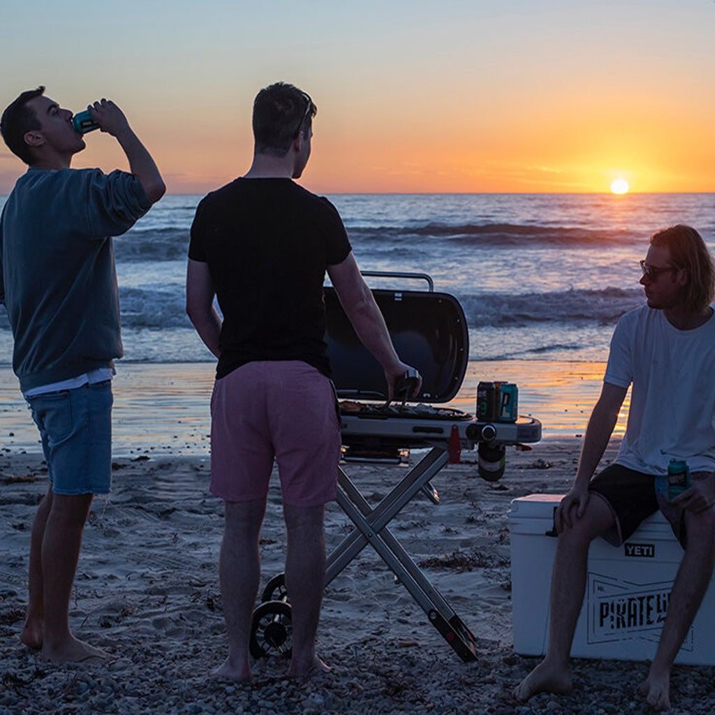 Weber Traveler