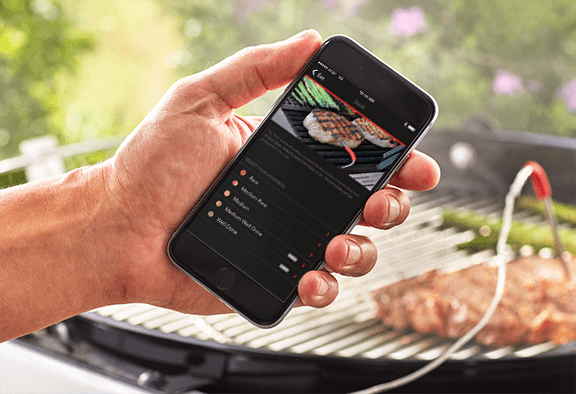 Weber iGrill Mini Bluetooth Thermometer - Barbeques and More