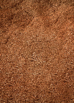 Manuka Wood Smoking Sawdust