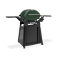 Weber Family Q3200N+ Bushland Green