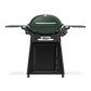 Weber Family Q3200N+ Bushland Green