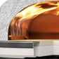 Gozney Arc XL 16-Inch Gas Pizza Oven