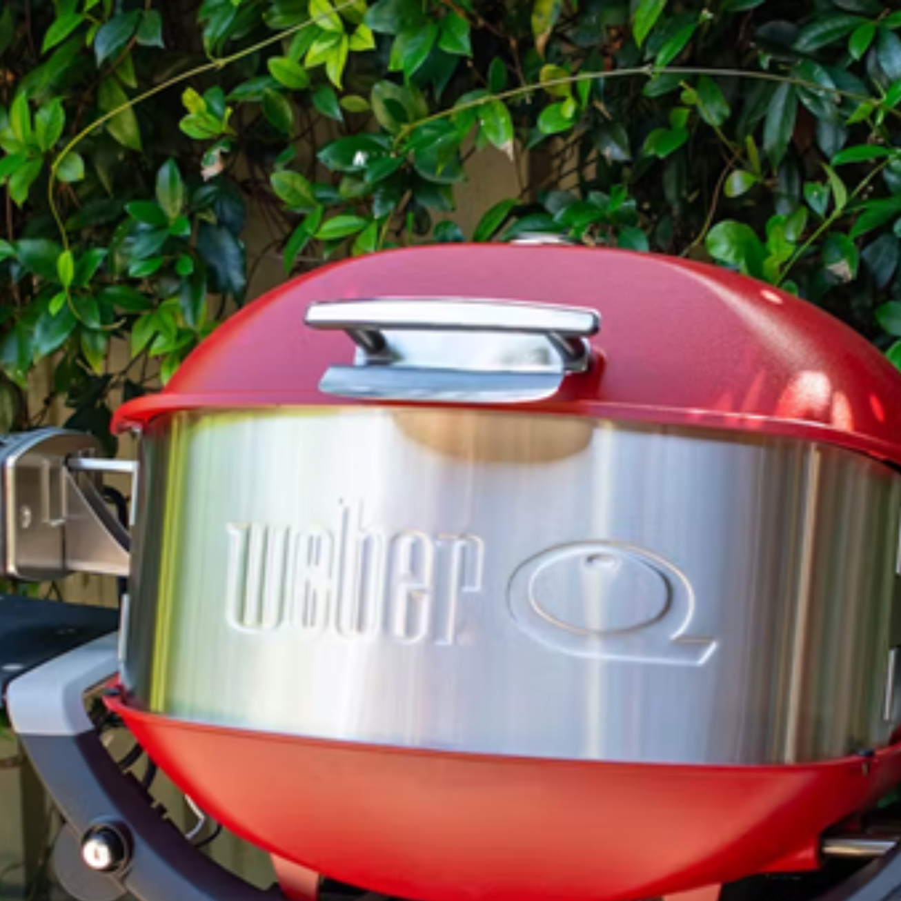 Weber Baby Q™ Rotisserie Set (Gen 3)