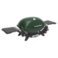 Weber Q2800N+ Bushland Green