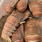 Seafood BBQ Class 16th August