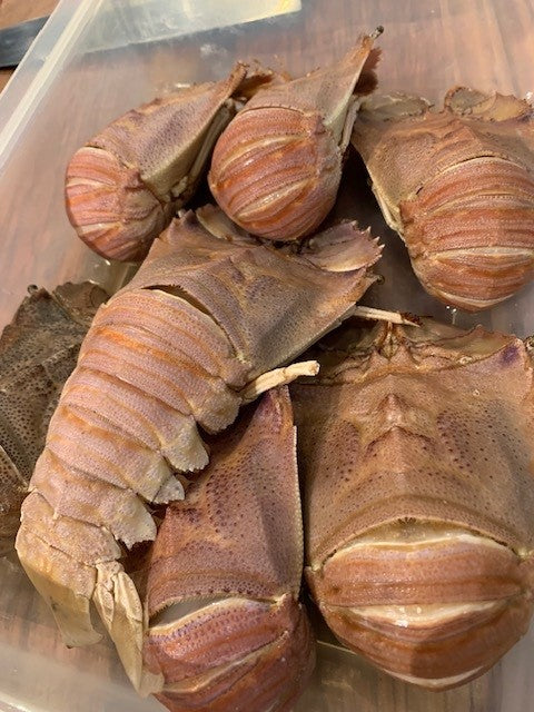 Seafood BBQ Class 16th August