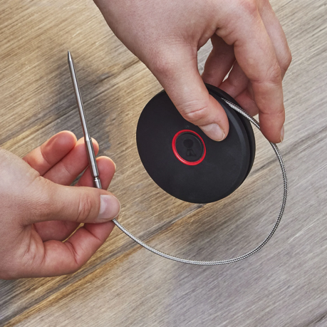 Weber Smart BBQ Probe and Grate Sensor