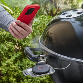 Weber Smart BBQ Probe and Grate Sensor