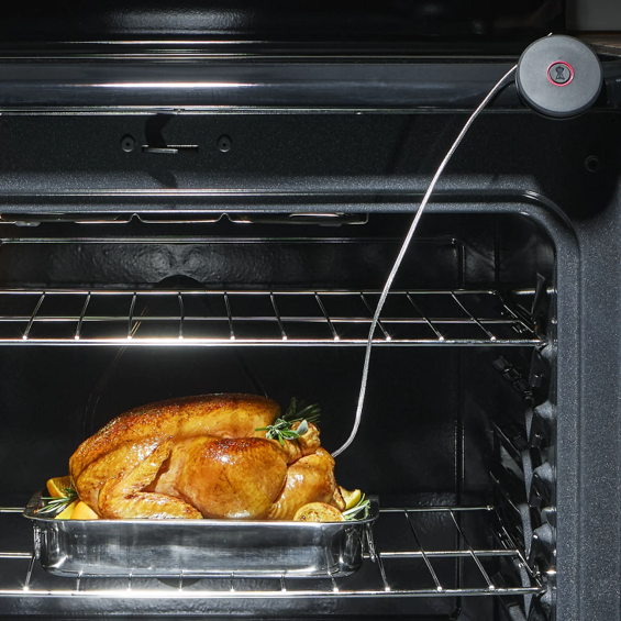 Weber Smart BBQ Probe and Grate Sensor