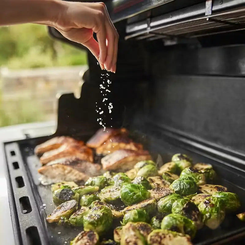 Weber Summit® FS38 Gas Barbecue Black Weber