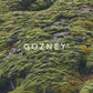 Gozney Tread Gas Pizza Oven